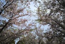 黄浦滨江37