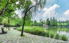杨浦公园5