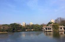 杨浦公园14