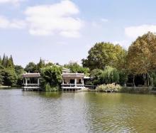 杨浦公园18