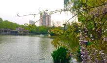 杨浦公园26