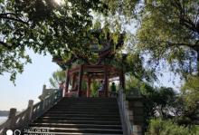 镜桥4