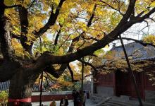 香界寺1