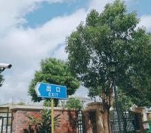 周浦小上海步行街7