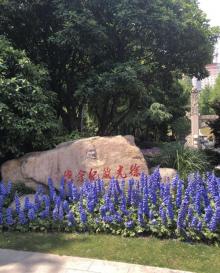 光启公园15