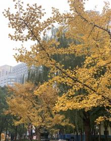 长寿公园13