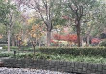 长寿公园15