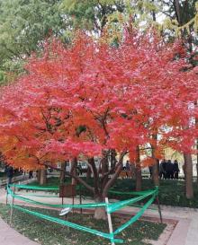 长寿公园17