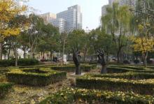 长寿公园18