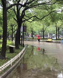 长寿公园20