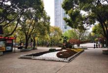 长寿公园35