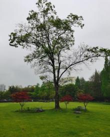 古城公园7