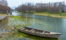 世博后滩湿地公园2