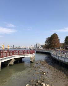 世博后滩湿地公园6