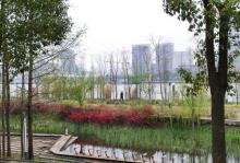 世博后滩湿地公园12