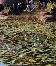 世博后滩湿地公园35