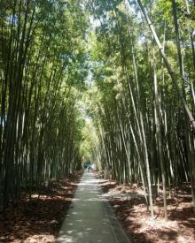 龙华烈士陵园12