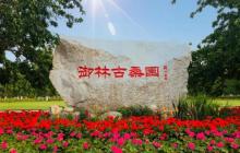 御林古桑园5