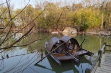 吴淞炮台湾湿地森林公园26