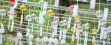 东方绿舟景区31