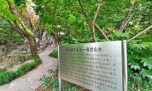 西山瀑布1
