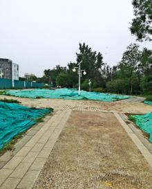 景泰公园5