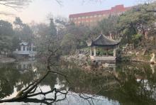 叶家花园4