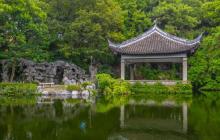 叶家花园5