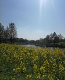 闵行文化公园15