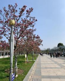 闵行文化公园16