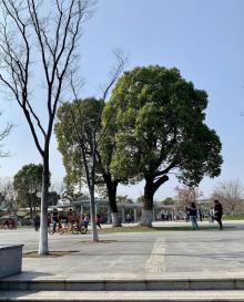 闵行文化公园19