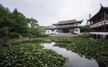 梅园公园3