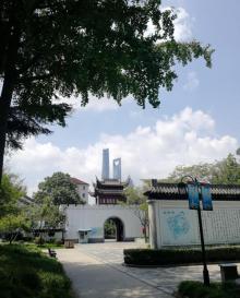 梅园公园11