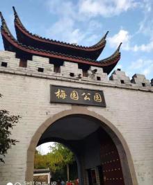 梅园公园15