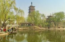 榆树庄公园10