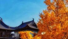 真如寺11