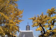 真如寺33