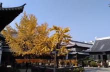 真如寺37