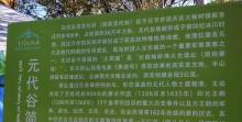 元代谷风景区1