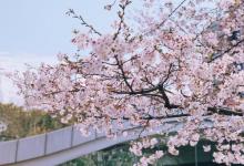 上海体育场13