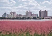 杨浦滨江11