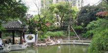 蓬莱公园19
