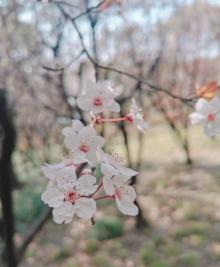 黄兴公园12
