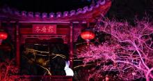 上海世博文化公园・申园满庭芳主题光影秀14