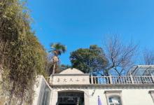 佘山国家森林公园30