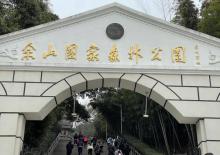 佘山国家森林公园33