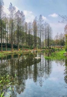 前滩休闲公园10