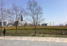 前滩休闲公园36