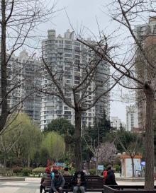 四川北路公园12