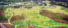 长兴岛郊野公园28